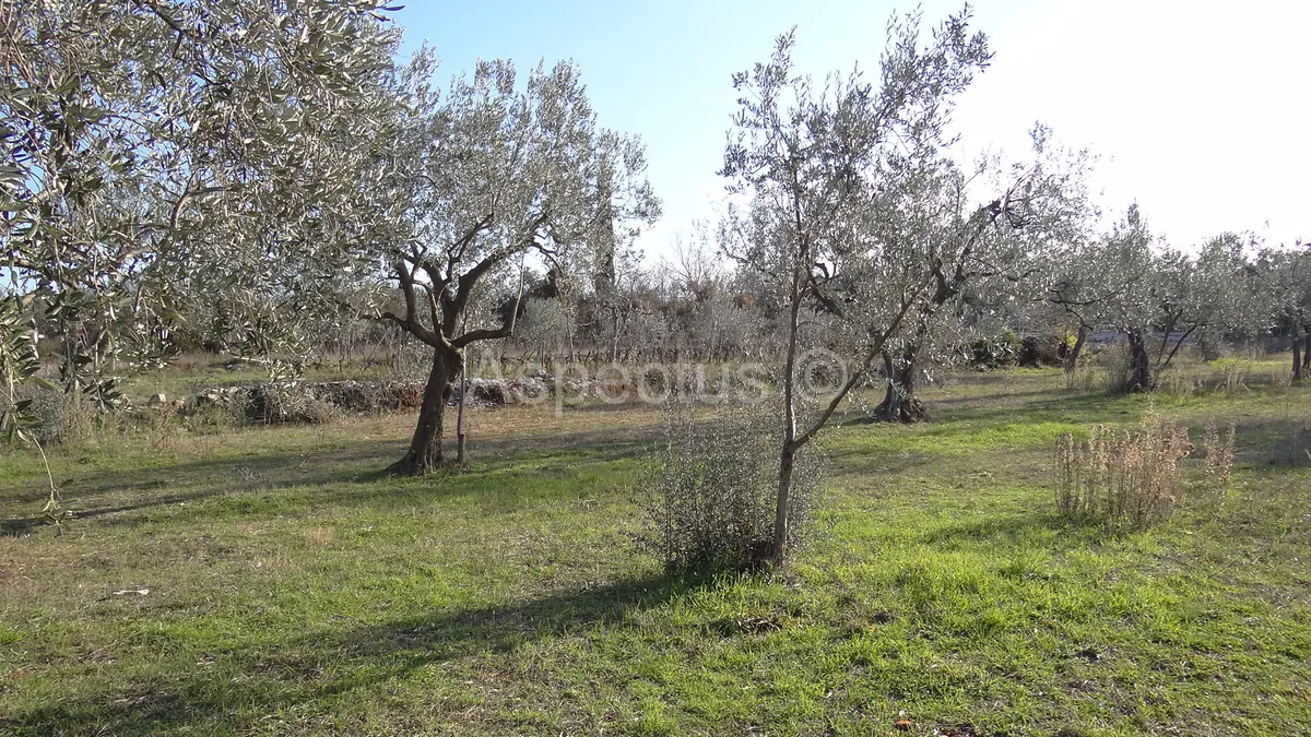 Land - Vodnjan, 2002m2