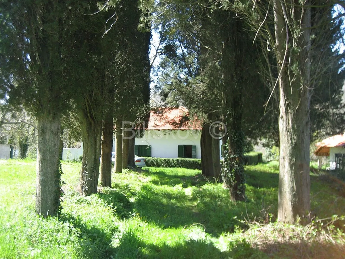 Kuća - Drniš, 150m2
