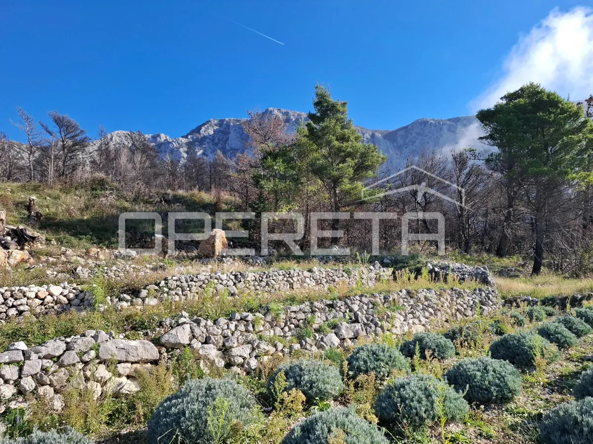 Zemljište - Podgora, Podgora, Podgora, 112m2