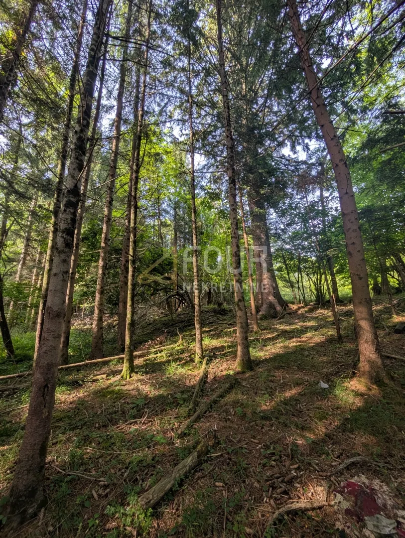 Zemljište - Klana, 1908m2