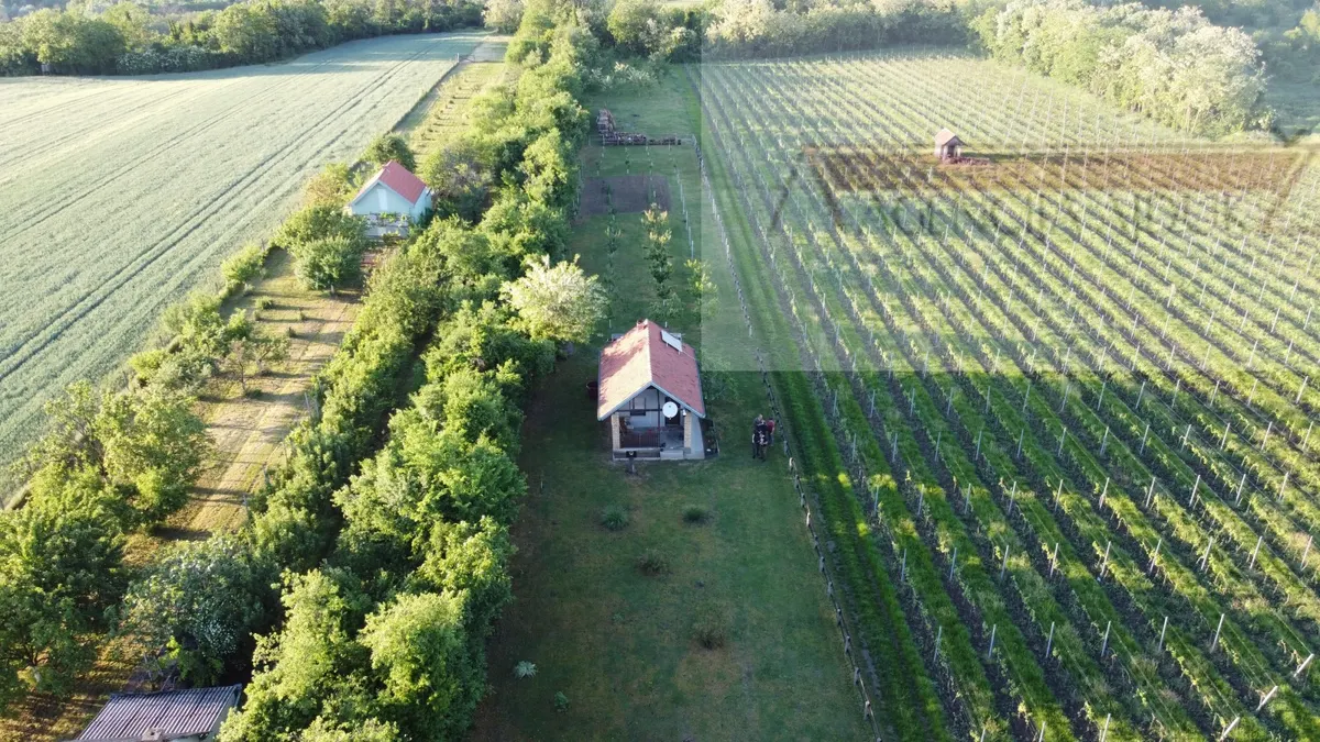 House - Draž, 48m2