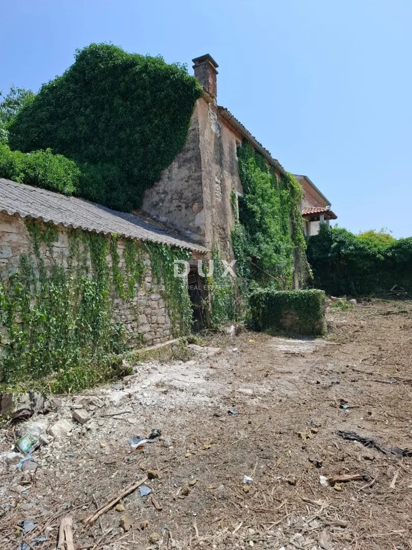 House - Bale, 300m2