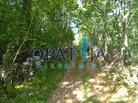Zemljište - Višnjan, 19190m2