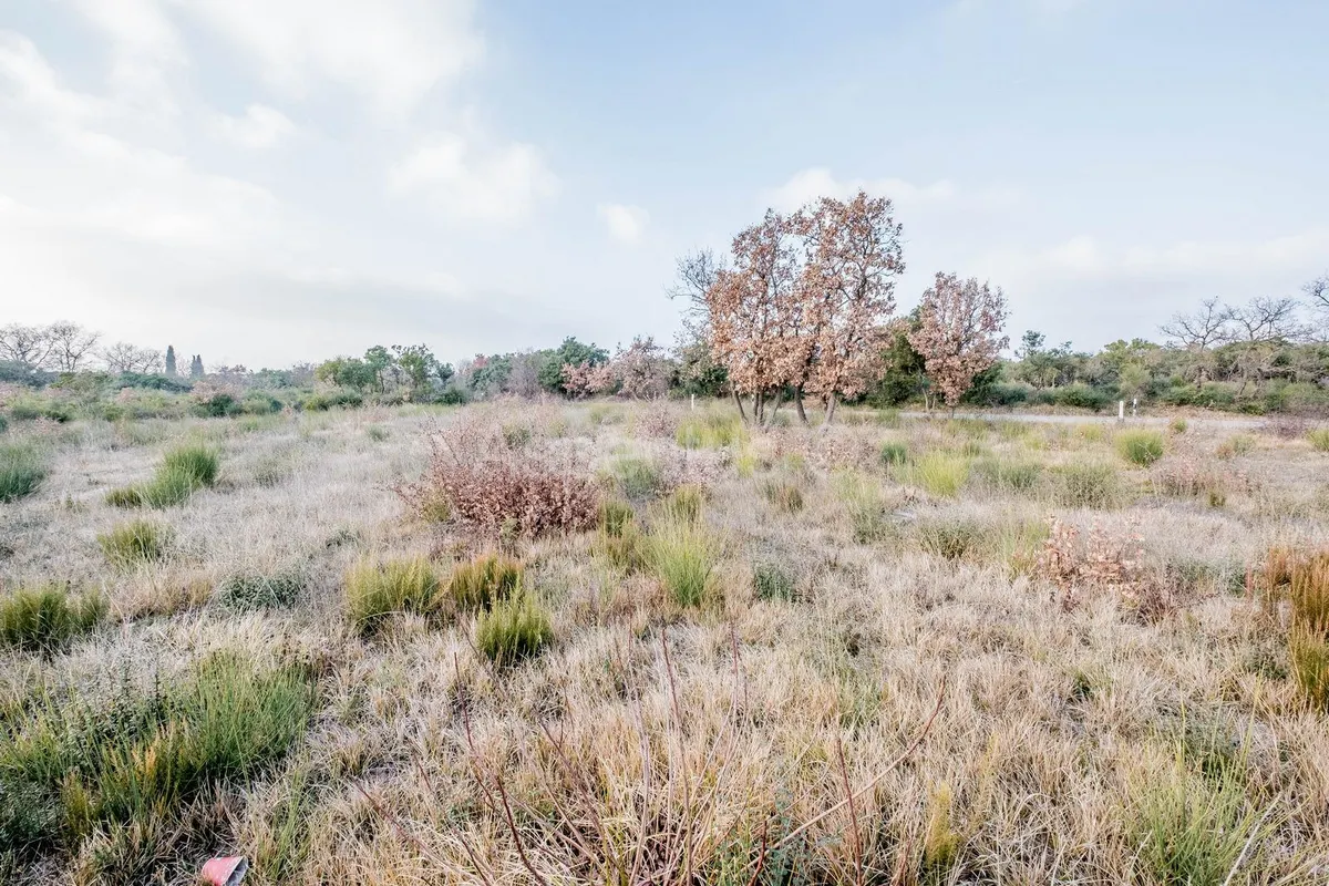 Land - Vodnjan, 918m2