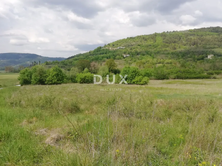 Zemljište - Motovun, 47700m2
