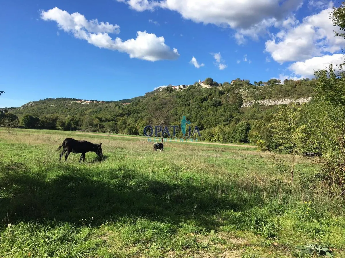 Poslovni Prostor - Buzet, 350m2