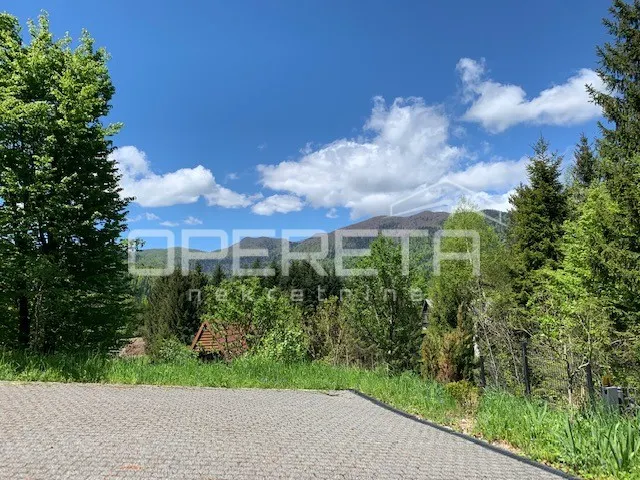 Kuća - Crni Lug, Delnice, Delnice, 300m2