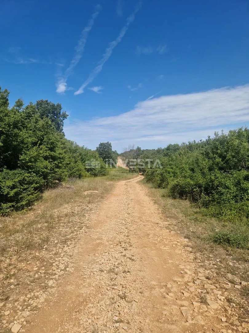Zemljište - Vodnjan, 8222m2