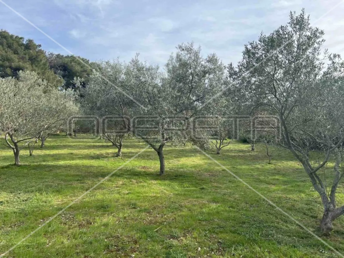 Zemljište - Punta Križa, Mali Lošinj, Mali Lošinj, 4260m2