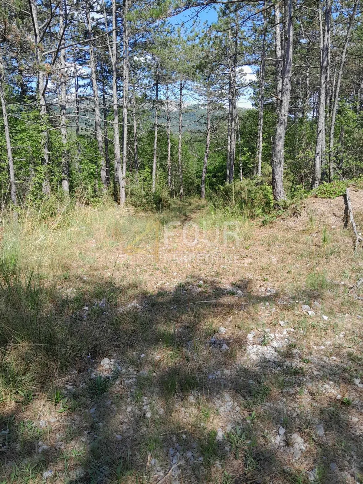 Zemljište - Buzet, 1601m2