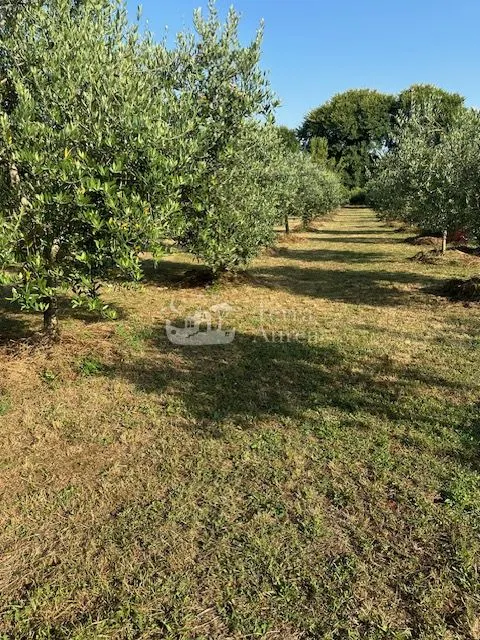 Kuća - Malinska-Dubašnica, 70m2