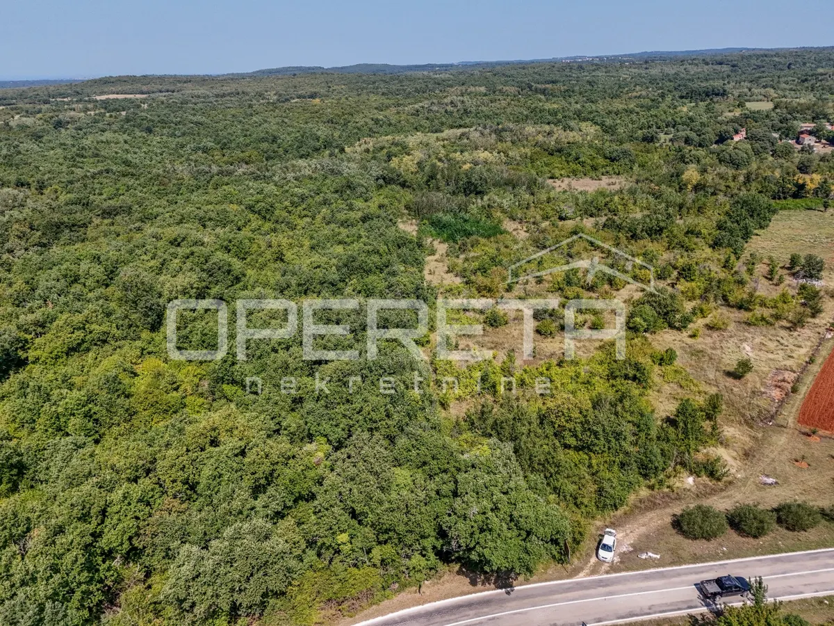 Zemljište - Poreč, Poreč, Poreč, 36918m2