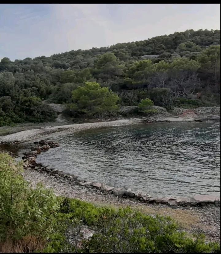 Zemljište - Zadar - Okolica, 6000m2