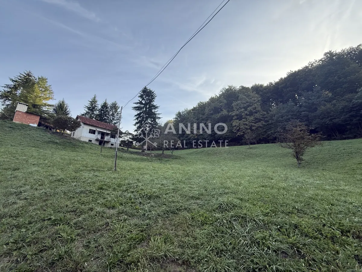 House - Desinić, 150m2
