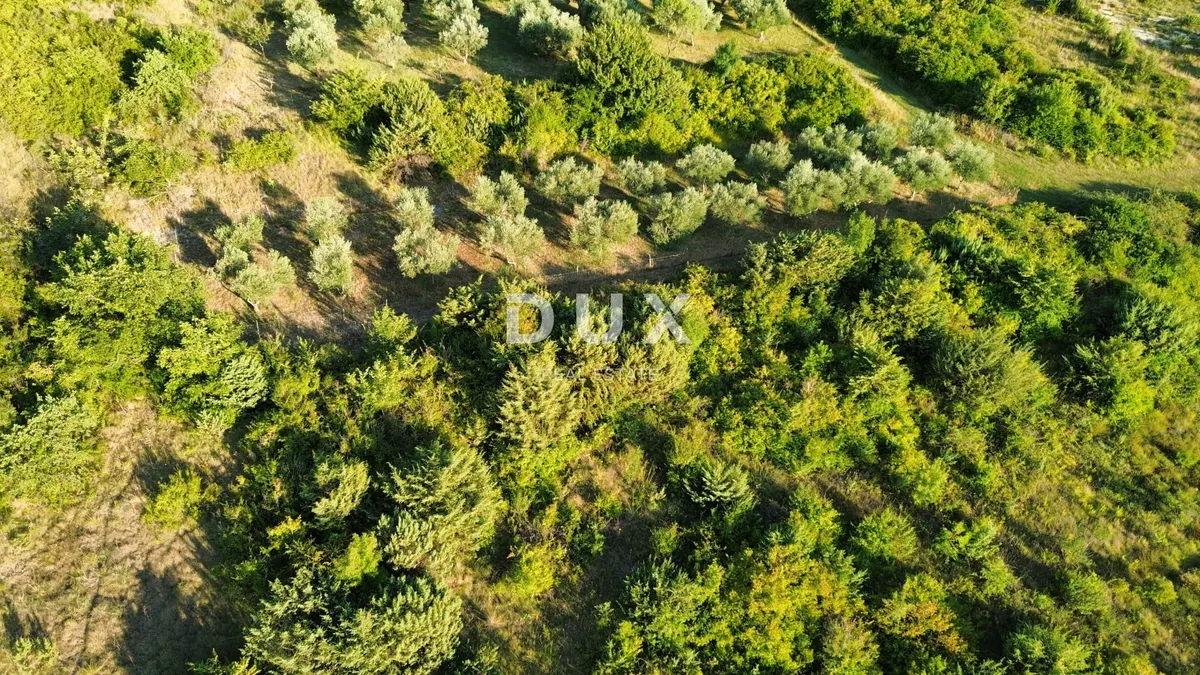 Zemljište - Poličnik, 1144m2