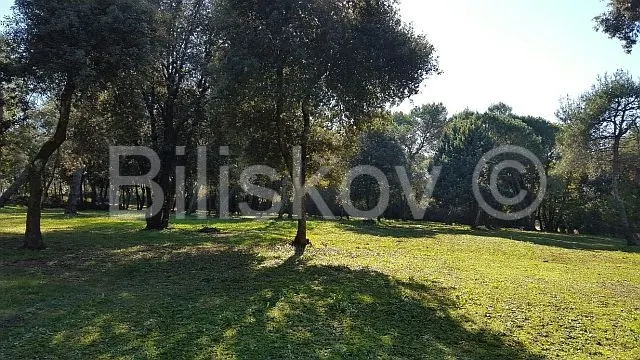 Zemljište - Rovinj, 12058m2