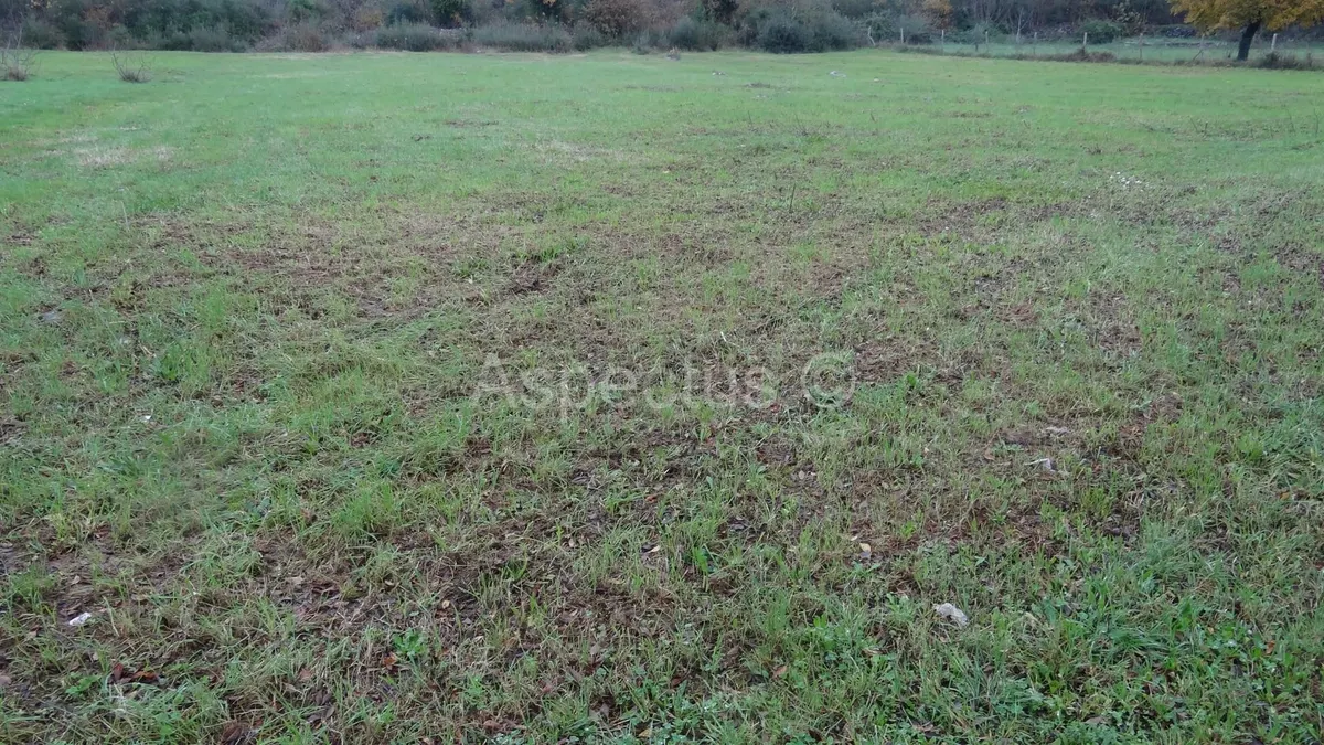 Land - Rovinj, 4310m2