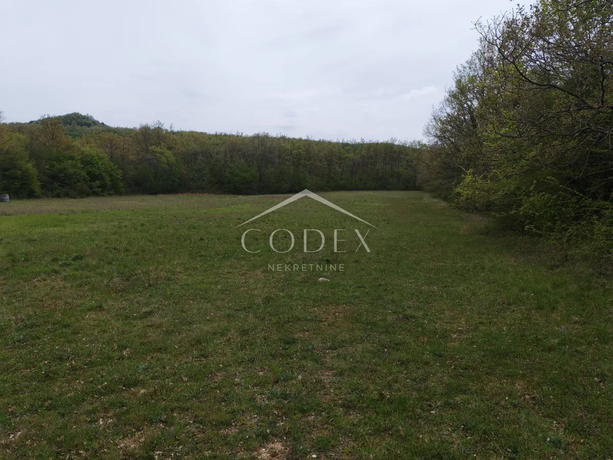 Zemljište - Labin, 13720m2