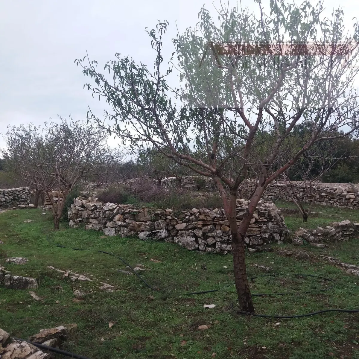 Zemljište - Nerežišća, 10630m2
