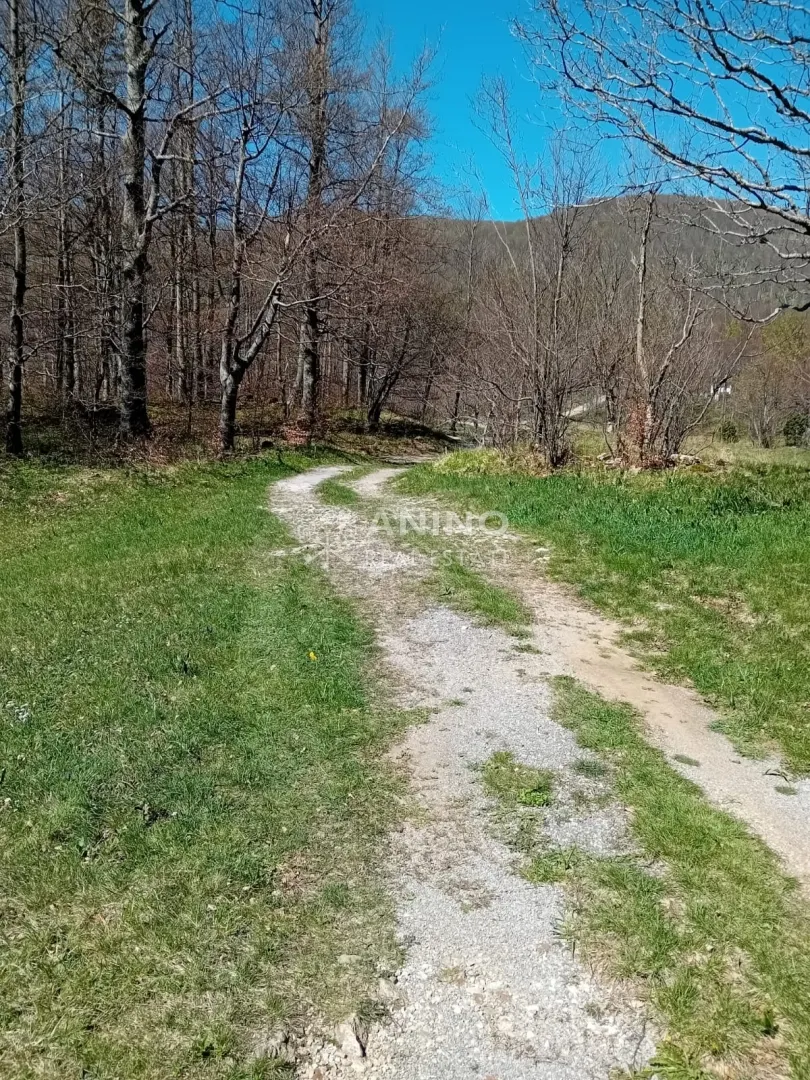Zemljište - Jelenje, 11570m2