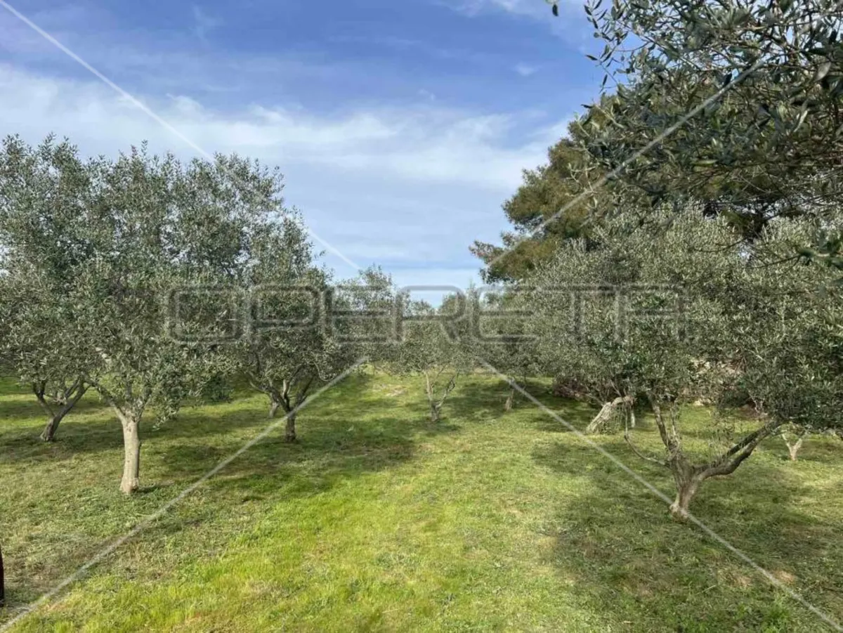 Zemljište - Punta Križa, Mali Lošinj, Mali Lošinj, 4260m2