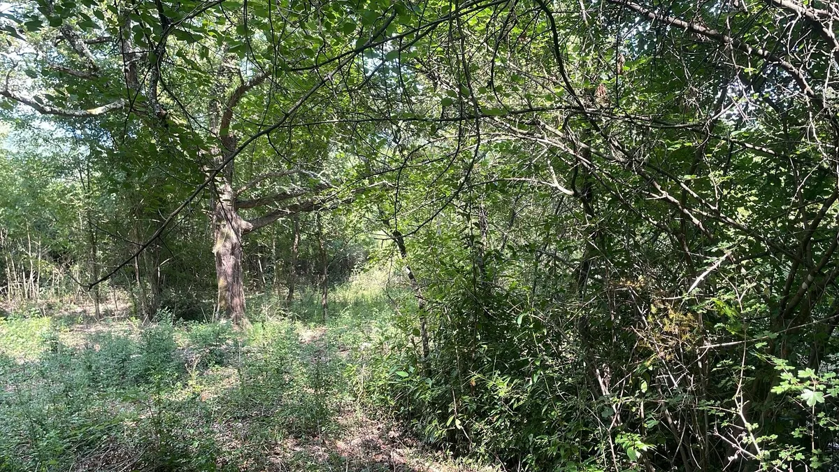 Zemljište - Pićan, 3380m2