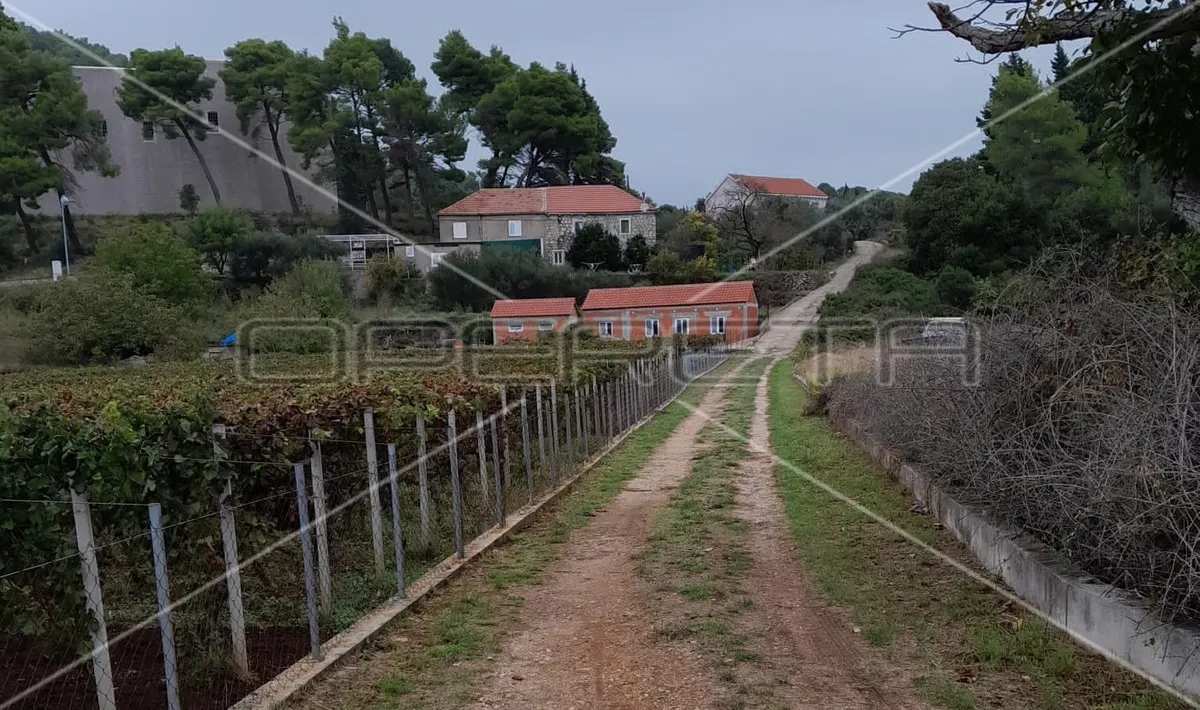Zemljište - Suđurađ, Otok Šipan, Dubrovnik - okolica, Dubrovnik, 29323m2