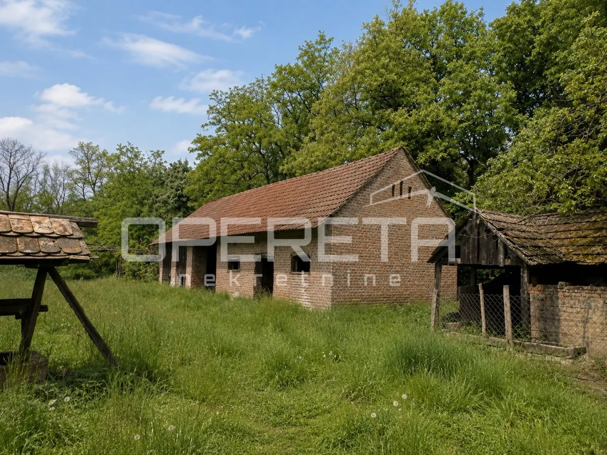 Kuća - Brodić, Ferdinandovac, Ferdinandovac, 250m2