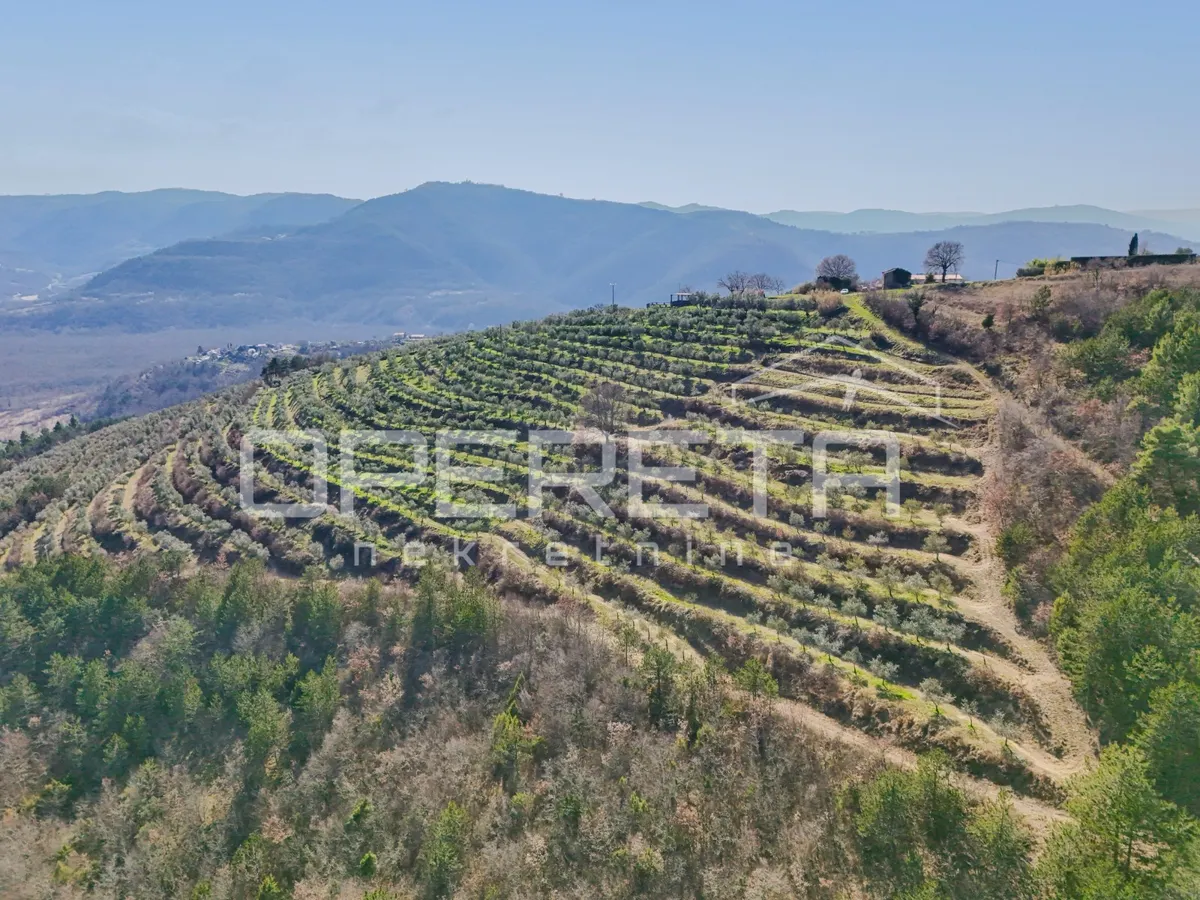 Zemljište - Motovun, Buzet, Buzet, 167813m2