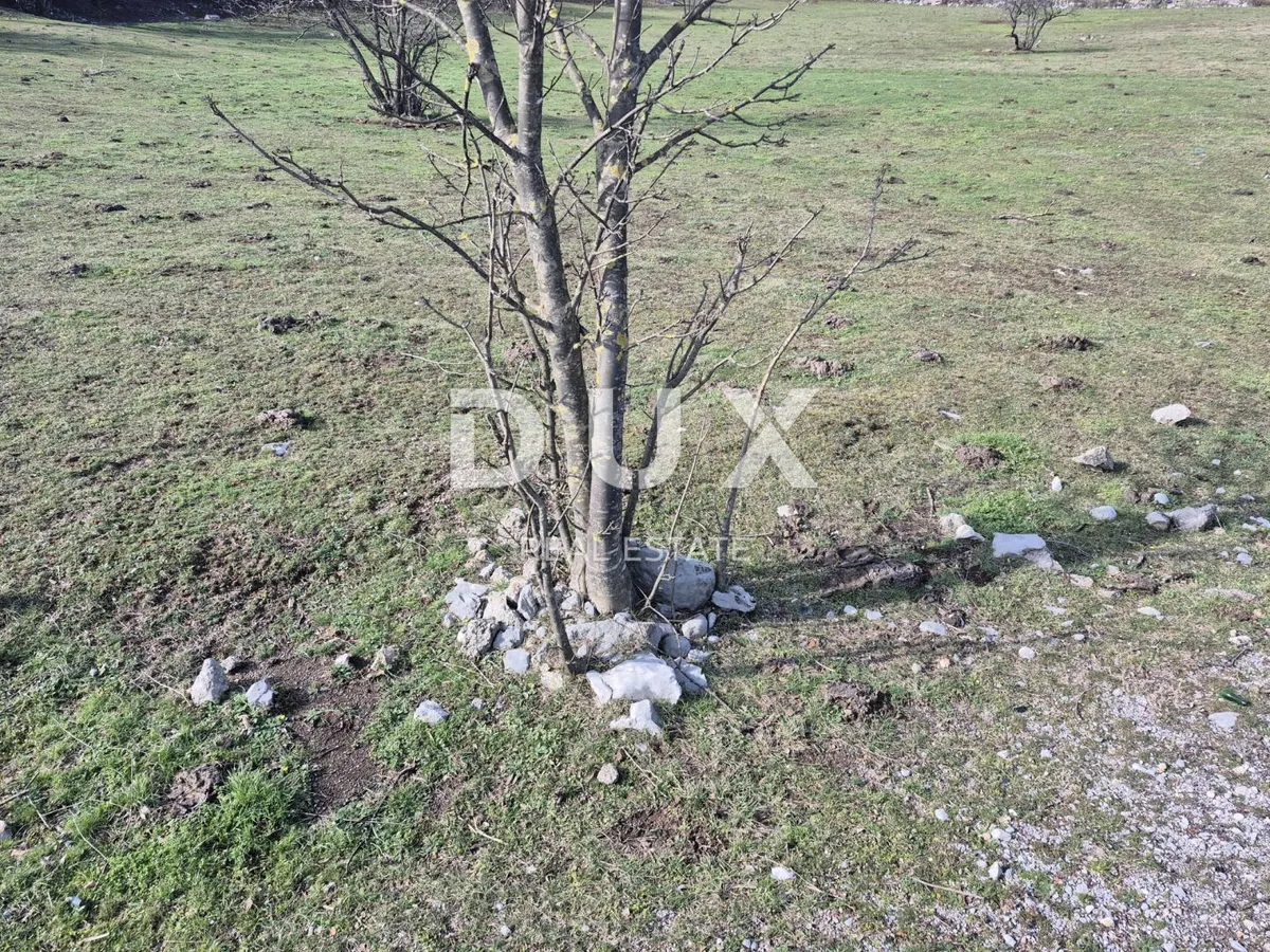 Zemljište - Čavle, 650m2