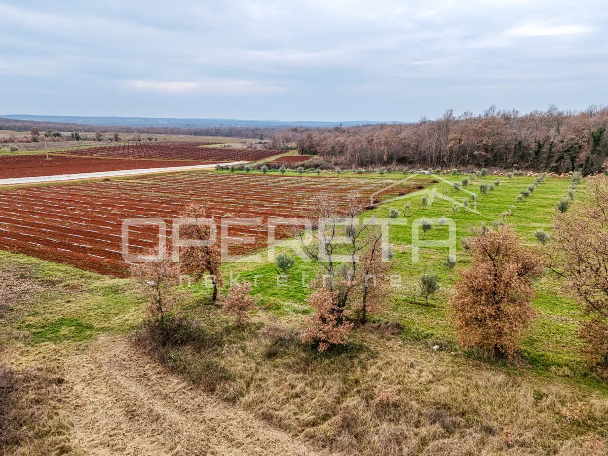 Zemljište - Kaštelir, Poreč, Poreč, 5677m2
